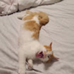 Meet your Posher, Maria